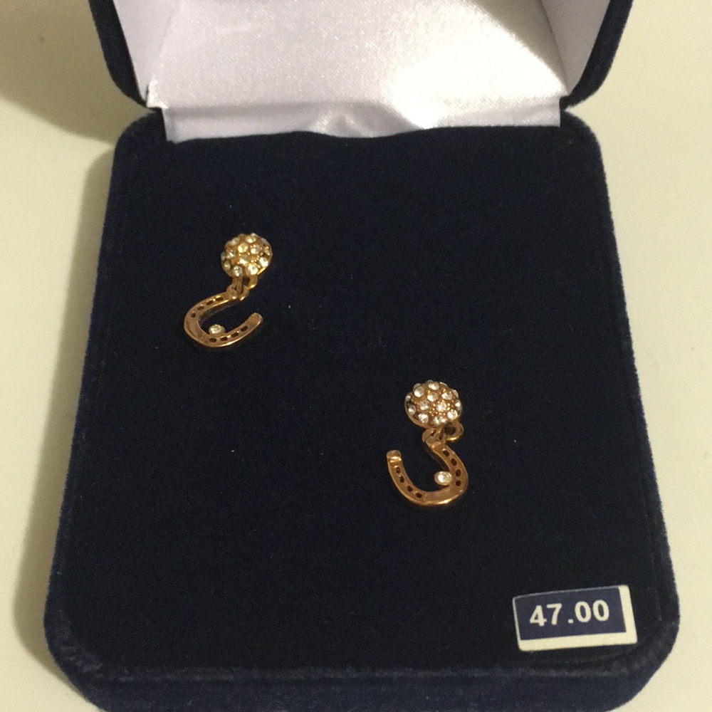 MONTANA SILVERSMITHS EARRINGS